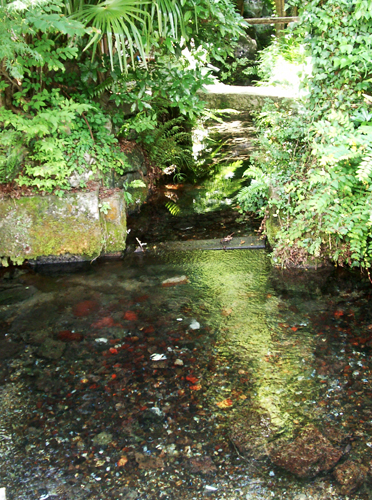 a0101536_11442895.jpg