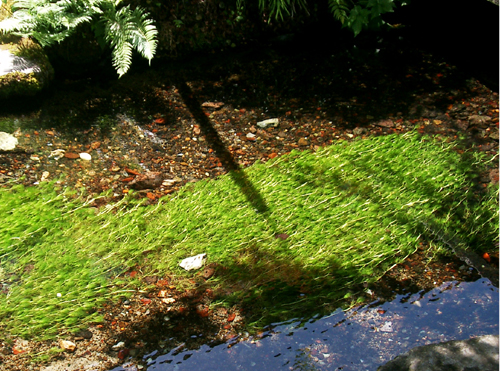 a0101536_11473456.jpg