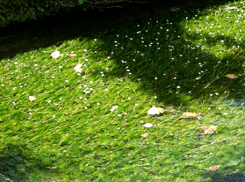 a0101536_11534199.jpg