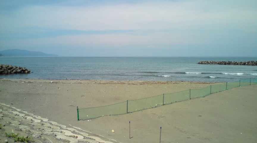 c0054838_16354353.jpg