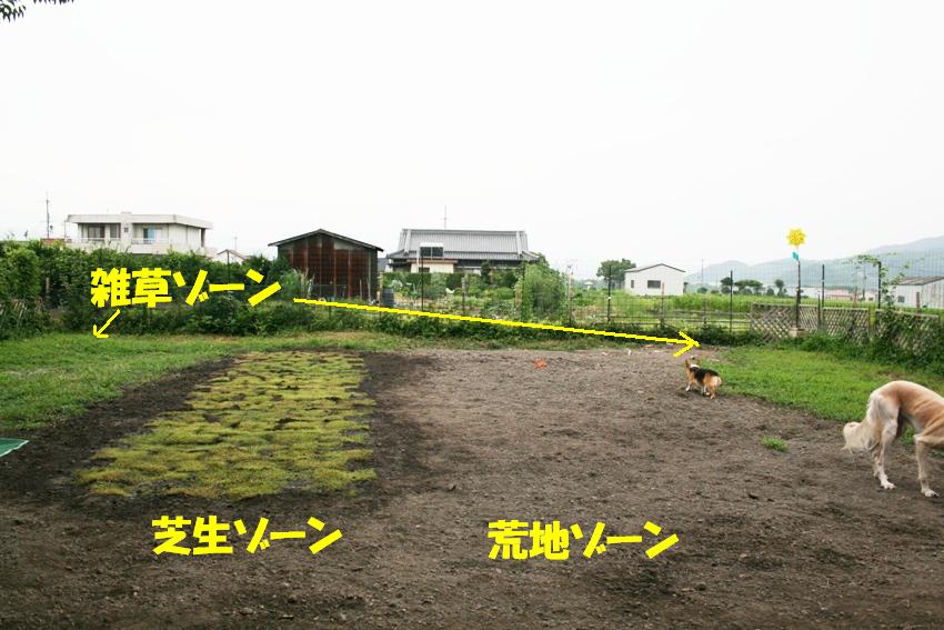 d0077740_1054105.jpg