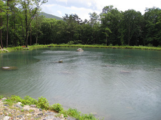 f0065341_1121796.jpg