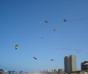 b0007143_16405816.jpg