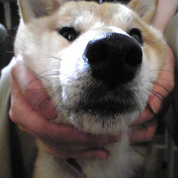 c0181543_22413038.jpg
