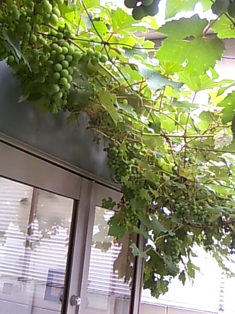 c0138553_112639.jpg