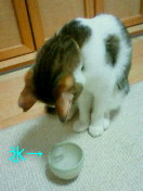 c0052756_222755.jpg