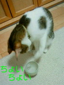 c0052756_222759.jpg