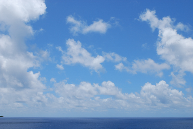 e0120856_11314244.jpg