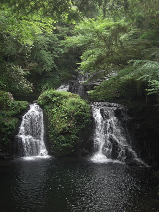 f0142862_2212998.jpg