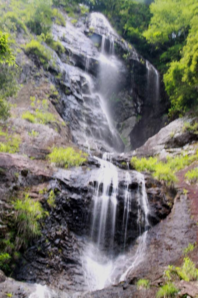 c0185066_11544258.jpg