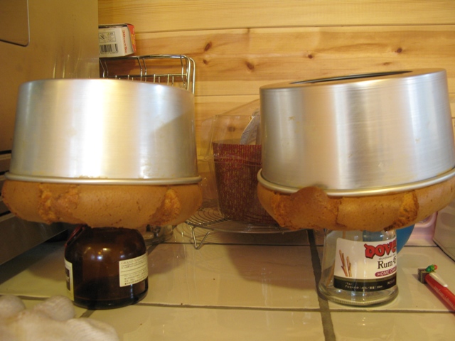d0052770_2301052.jpg