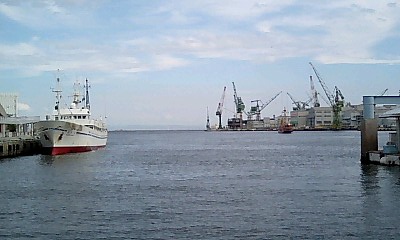 e0143671_1052568.jpg