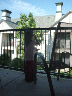 f0186671_12442916.gif
