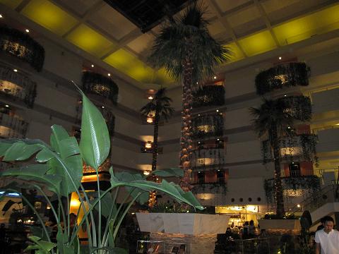 a0081772_23352044.jpg