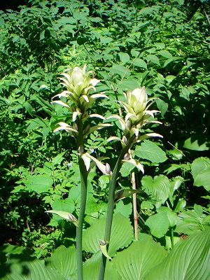 f0182173_12271265.jpg
