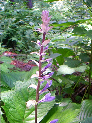 f0182173_12272435.jpg