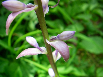 f0182173_12273498.jpg