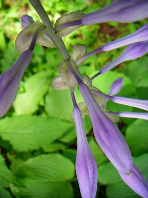 f0182173_12274484.jpg