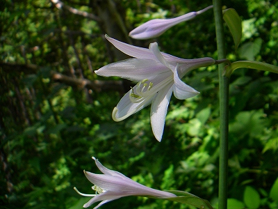 f0182173_1228868.jpg