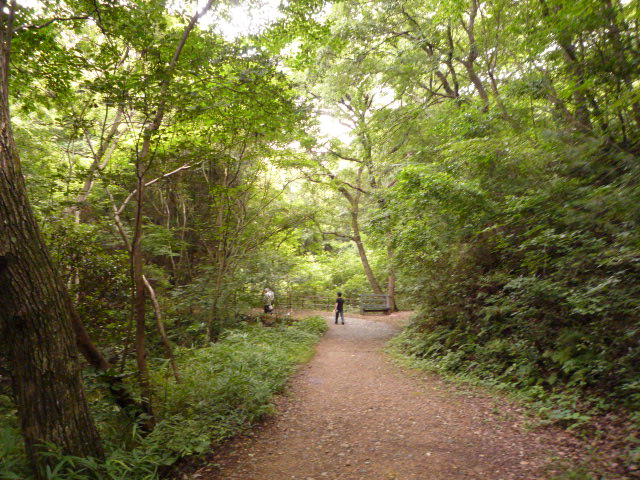 c0160778_2333539.jpg