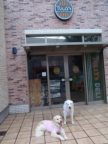 b0136381_930118.jpg