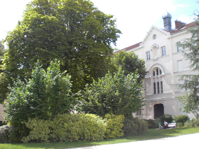 c0176981_4224445.jpg