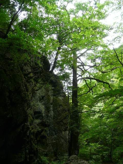 e0145782_211035100.jpg