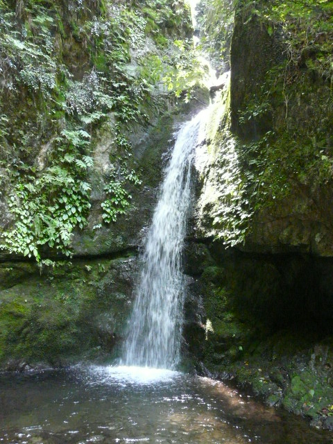 e0145782_2110576.jpg