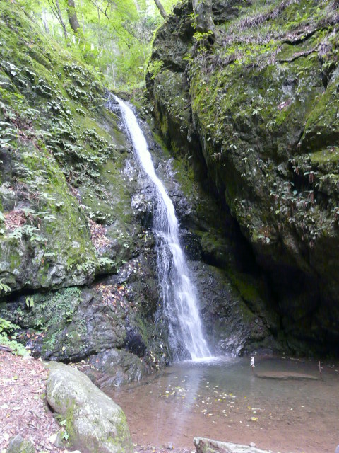 e0145782_21111972.jpg
