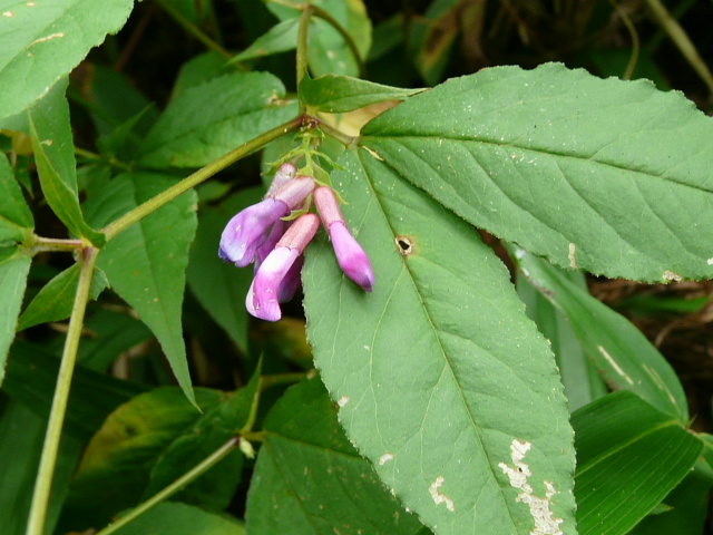 e0145782_2172126.jpg