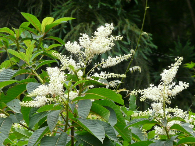 e0145782_217428.jpg