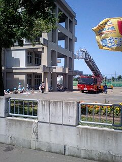 f0156184_1235156.jpg