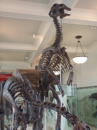 e0019696_9303153.jpg