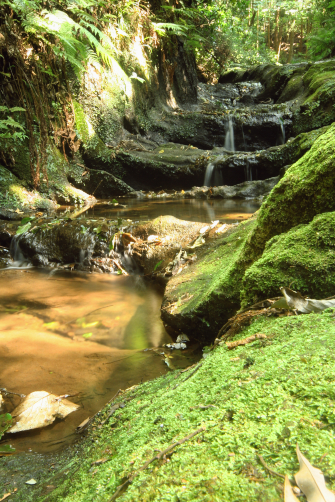 c0084097_715460.jpg