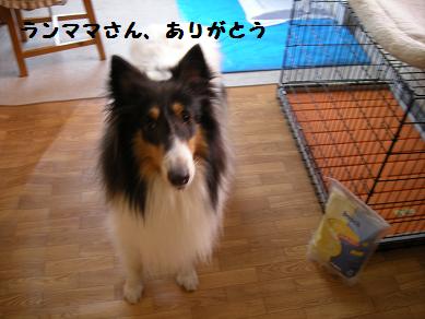 f0081100_23491488.jpg