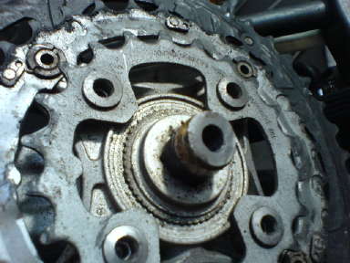 a0056401_16575411.jpg