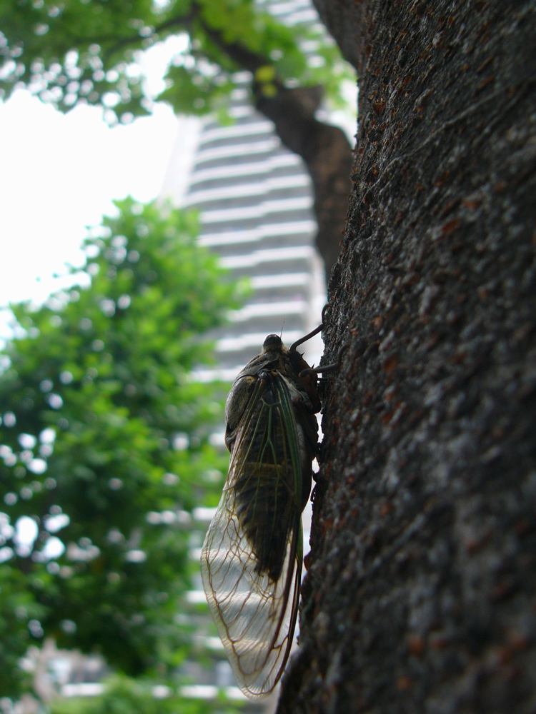 c0062511_15345648.jpg