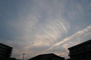 b0167519_11364529.jpg