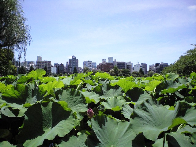 e0123920_1238058.jpg
