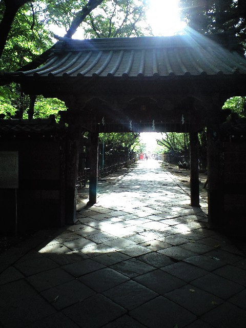 e0123920_1238162.jpg