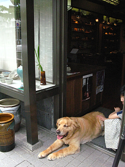 f0197821_14542231.jpg