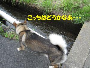f0143123_2012816.jpg
