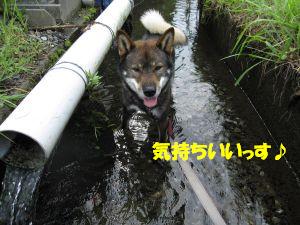 f0143123_20135513.jpg