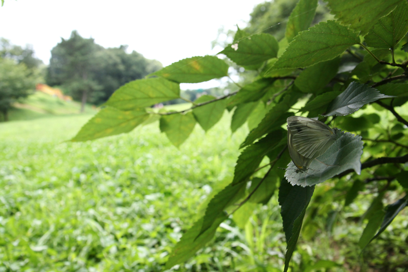 d0054625_2152573.jpg