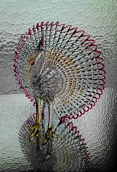 a0098027_15501447.jpg