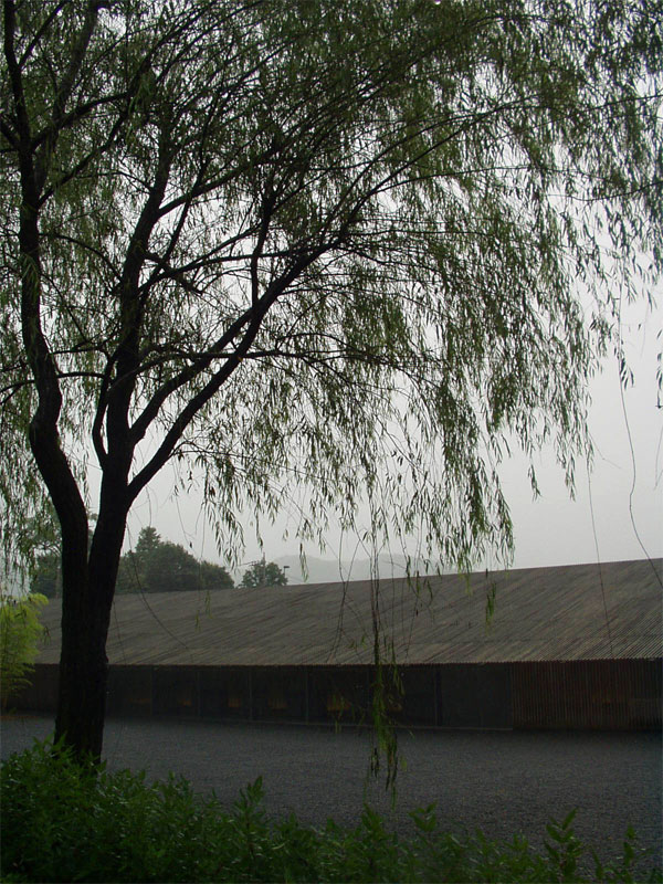 a0120727_20391439.jpg