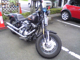 a0099129_18171141.jpg