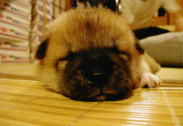 f0197030_755079.jpg