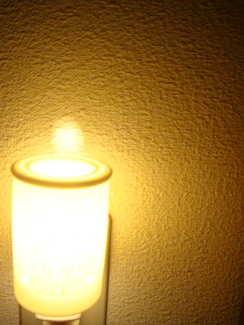 b0178333_23284164.jpg