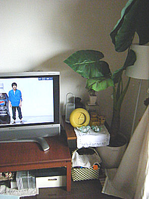 c0069036_15244213.jpg